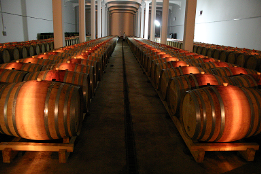 Cellar