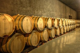Barrels of wine in cellar