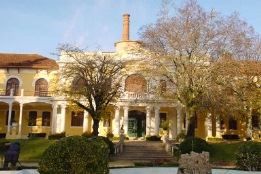 Curia